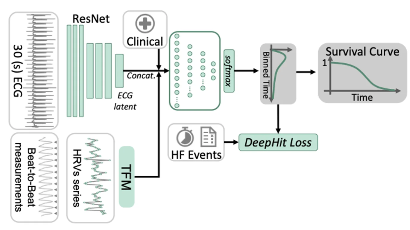 Multi-modal Heart Failure Risk Estimation based on Short ECG and Sampled Long-Term HRV Multi-modal Heart Failure Risk Estimation based on Short ECG and Sampled Long-Term HRV